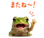 862326186