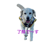 862326518