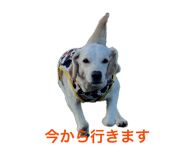 862326521