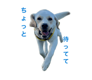 862326522
