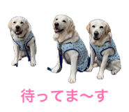 862326524