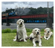 862326525