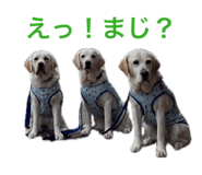862326529