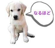 862326532