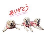 862326534