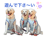 862326541