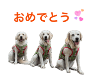 862326547