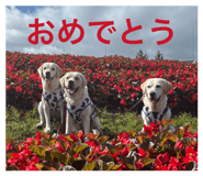 862326548