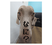 862326668
