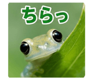 862326996