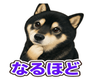 862328186