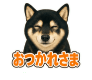 862328199