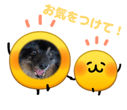 862328462