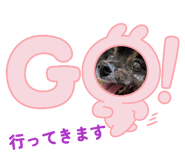 862328464