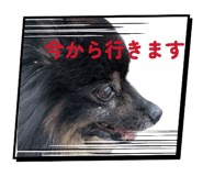 862328467