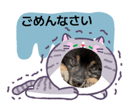 862328475