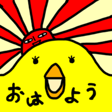 8624022