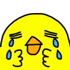 8624037