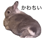 862447768