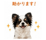 862469355