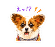 862469989