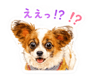 862469991