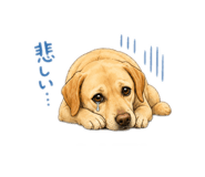 862472076
