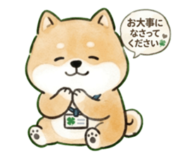 862474032