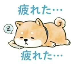 862474040
