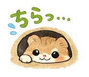 862474063