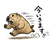 862476021