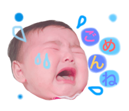 86248194