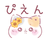 862482766
