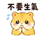 862484646