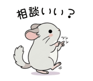 862485993