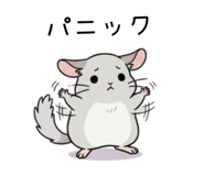 862486019