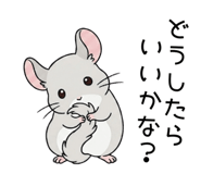 862486021
