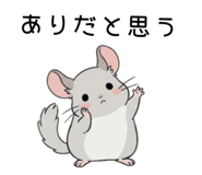 862486028