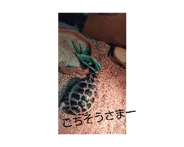 862486910
