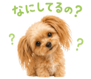 862488689
