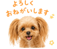 862488700