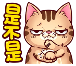 86249044