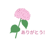 862494955