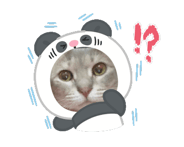 862496768
