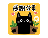 862497481