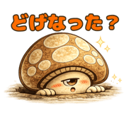 862499559