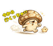 862499561