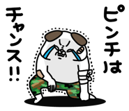 862500968