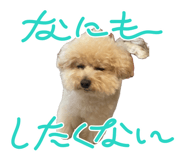 862501396