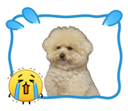 862501399